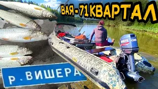 р. ВИШЕРА | ВАЯ - 71 КВАРТАЛ | Solar 420 strela + Yamaha 30 jet