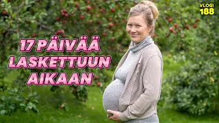 ONKO KAIKKI JO VALMIINA? VASTATAAN TEIDÄN KYSYMYKSIIN!