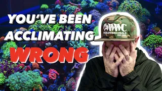 WATCH THIS BEFORE YOU ADD ANY CORALS TO YOUR AQUARIUM!