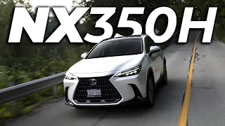 2023 Lexus NX350H Full Review! The Queen of Hybrid SUVs?