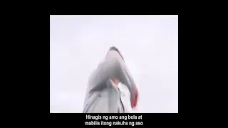 ang asong iniwan nang amo