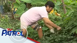 KBYN: Ina na naputulan ng paa, patuloy ang pagpupursigi para sa mga anak | TV Patrol