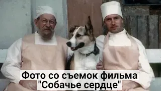 Архивные фото со съемок фильма "Собачье сердце"