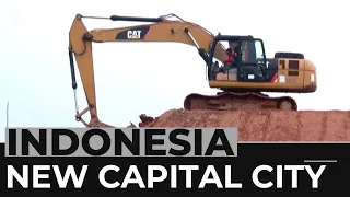 Indonesia's Nusantara set to become 'forest city'