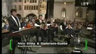 BielerseeBuebe und Nico Brina,es Burebüebli Boogie.flv