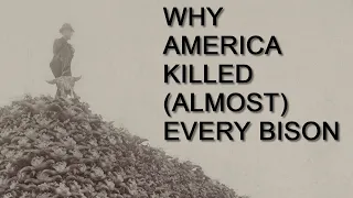 That Time America Killed MILLIONS of Bison Out of Spite