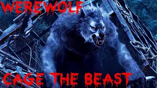 werewolf attack - Werewolf on the Loose Scene - Van Helsing HD