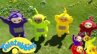 Les Teletubbies en français ✨ 2017 HD ✨Emile et Baladin,  Gros Plans | Animated cartoon