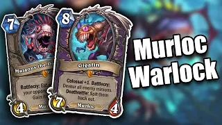 Murloc Warlock | Hearthstone