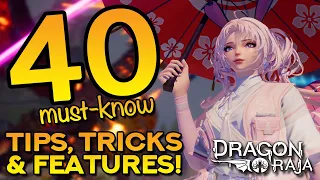 40 MUST-KNOW TIPS & TRICKS FOR DRAGON RAJA!!