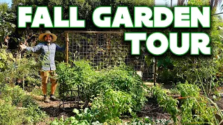 I Just Can't Get Enough Brassicas | Tour My Fall Garden!