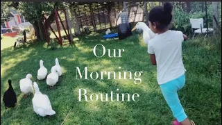 Our Morning Routine On The Homestead | Homesteading With BlackTinos