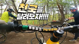 용평 파라다이스 코스...천국을 달리는 느낌?