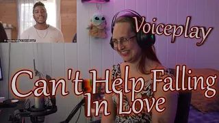 Voiceplay brings out the beautiful harmonies for their version of Can't Help Falling In Love