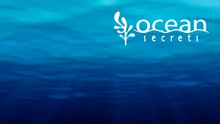 Презентация линии OCEAN SECRETS