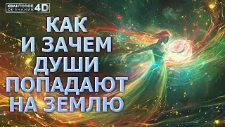 КАК И ЗАЧЕМ ДУШИ ПОПАДАЮТ НА ЗЕМЛЮ/ HOW AND WHY SOULS FALL TO EARTH