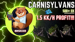 Carnisylvans | 500+ Knight | 1.5 kk/h profit | Tibia