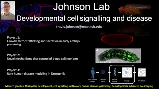 Research on Developmental Cell Signalling and Disease