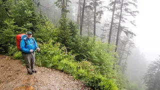 Great Smoky Mountains National Park Backpacking (TN/NC) - June 2017