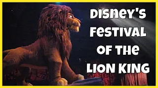 Disney's Festival of the Lion King FULL SHOW | Animal Kingdom Disney World | #DisneyMagicMoments