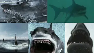 Megalodon Rising [2021] - Megalodon Screen Time