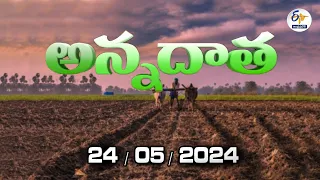 అన్నదాత | 24th May 2024 | Annadata | Full Bulletin | ETV Andhra Pradesh