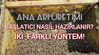 ANA ARI ÜRETİMİ / BAŞLATICI KOLONİ   NASIL HAZIRLANIR? / İKİ FARKLI YÖNTEM