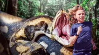 HOW TO SURVIVE BEING SWALLOWED BY AN ANACONDA | Tech and Science |