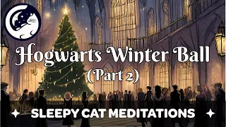 'The Wizard's Winter Ball' (Part 2 of 2) Guided Sleep Story inspired by Harry Potter