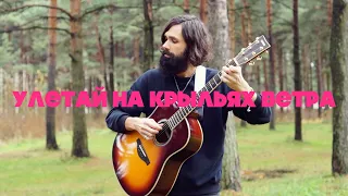 Улетай на крыльях ветра - theToughBeard на гитаре