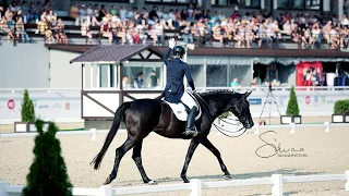 Пресс-конференция "Сборная России по конному спорту на Олимпиаде-2021 в Токио"