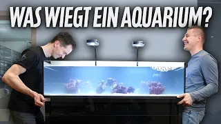 Was wiegt ein Meerwasseraquarium? ...jeder schätzt falsch!