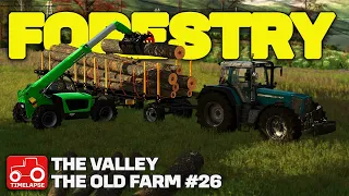 WINTER FORESTRY WORK!! FS22 Timelapse The Valley The Old Farm Episode 26