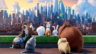 The Secret Life Of Pets (it's Gonna Be A Lovely Day)