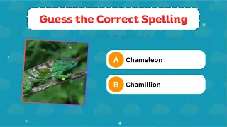 Test Your English Spelling Knowledge | Improve your writing and listening skill