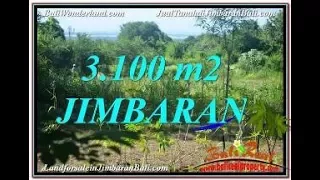 Affordable PROPERTY 3,100 m2 LAND FOR SALE IN Jimbaran Uluwatu  BALI TJJI113