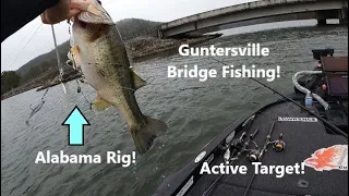 Guntersville Winter Fishing! (18lb bag Alabama Rig Fishing)