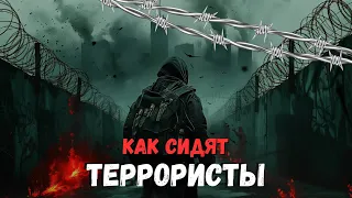 Как сидят террористы?