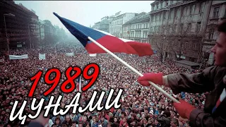 Цунами-1989: Прощай, Восточный блок [Как разваливался СССР]