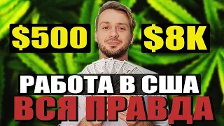 Кем Работают Иммигранты в Америке? Зарплата в США