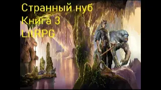 Странный Нуб Книга 3 Попаданец  LitRPG