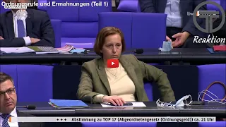 Ordnungsrufe und Ermahnungen - Best of Bundestag | TheRLCraft Reaktion