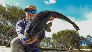 PB FLATHEAD Caught in the middle of FORSTER | Redemption