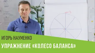 Упражнение «Колесо баланса». Игорь Науменко