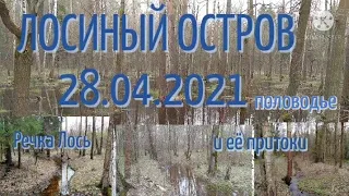 Прогулка в лесу/Разходка в гората/Walk in the forest   28.04.2021 #Лосиныйостров #половодье