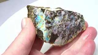 SUPERB Boulder opal Specimen