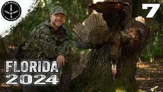 HUNTING OSCEOLA GOBBLERS in the FOG | PERFECT EARLY MORNING HUNT - Pinhoti 2024