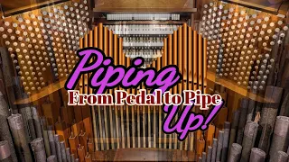 Piping Up! Touring the 8th Largest Organ in the World! St. Matthew Lutheran Church Part 1