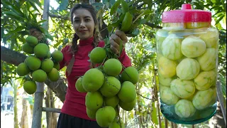 Fresh apple mango fruit in my countryside - Polin lifestyle