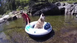 Jessie's aloha swim on the Clavey river